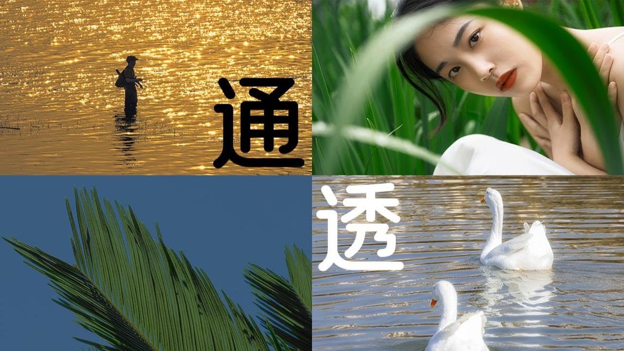 如何让照片立马变通透