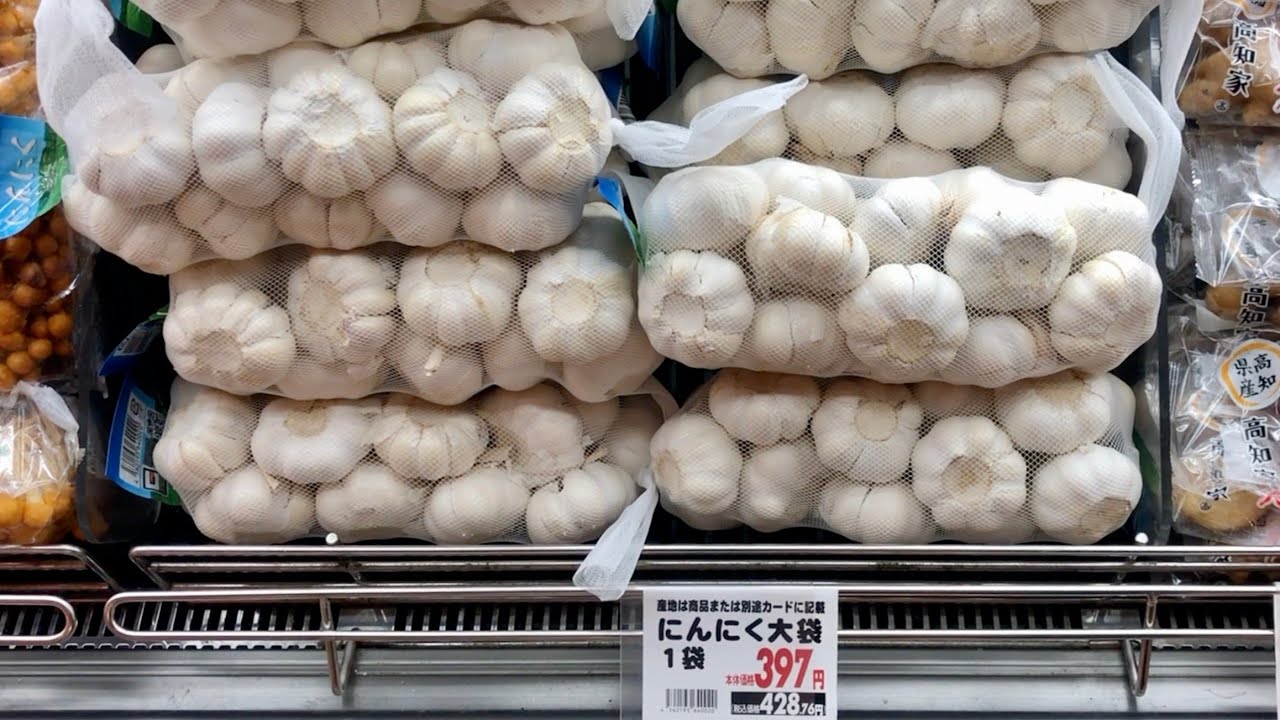 スーパーで買った激安ニンニクの栽培