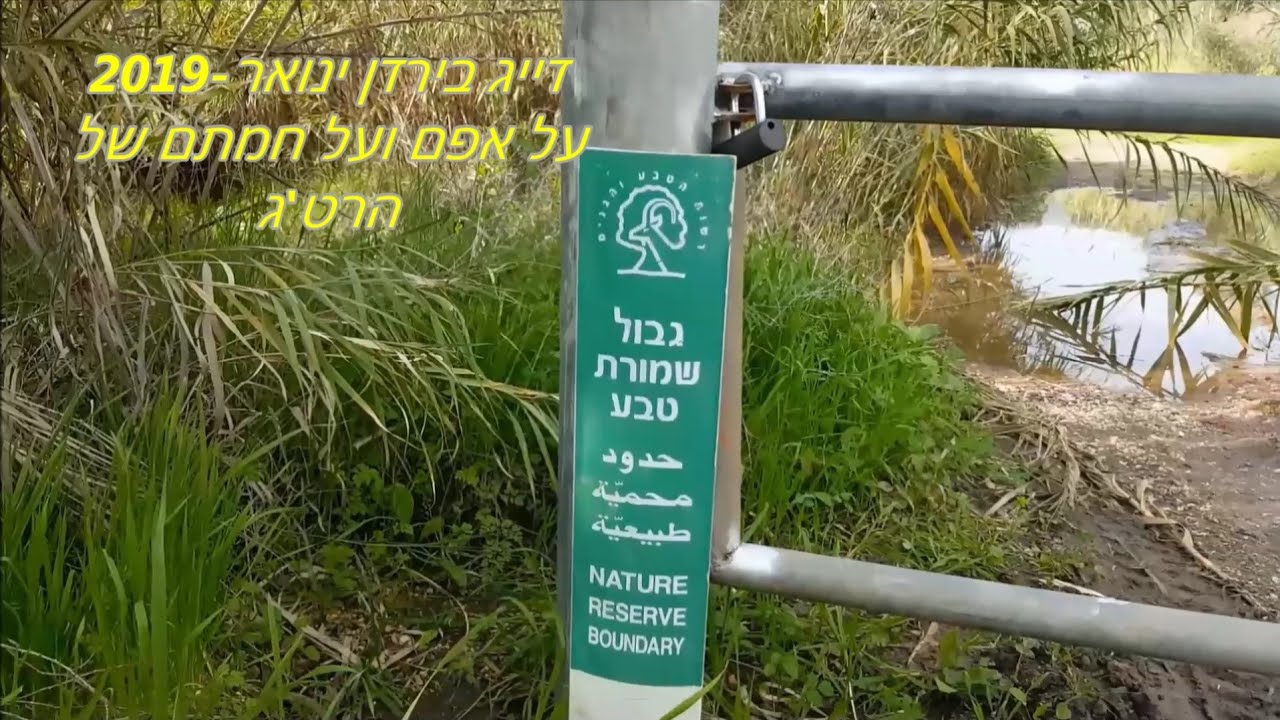 דיג-ליאור גכמן דיג בירדן על אפם וחמתם של הרט'ג (רשעות הטבע והגנים 😠) ינואר-2019 Jordan River