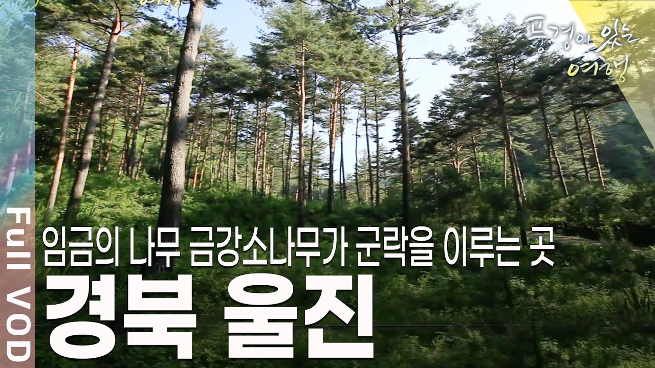 붉은 대게의 고향. 아늑한 오솔길. 각종 볼거리와 먹을거리로 가득한 울진으로 떠나본다 [풍경이있는여행 KBS 20110716 방송]