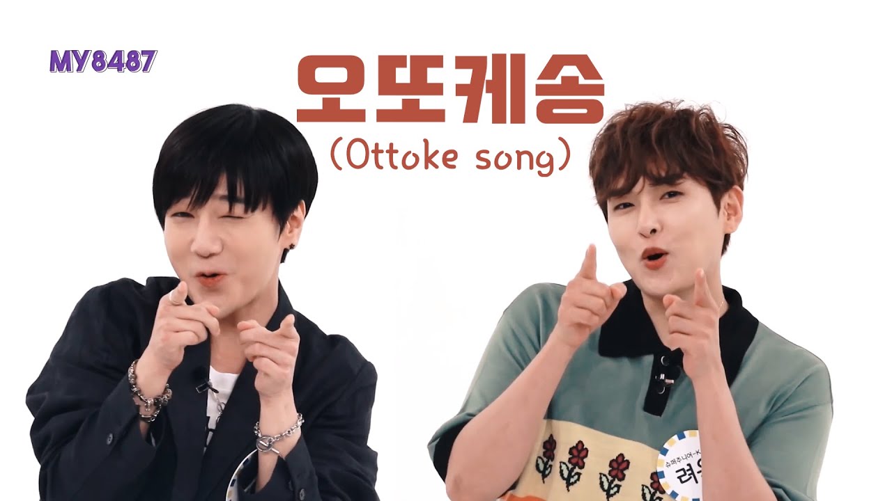 [Fanmade] 오또케송 (Ottoke song) | Yewook ver.