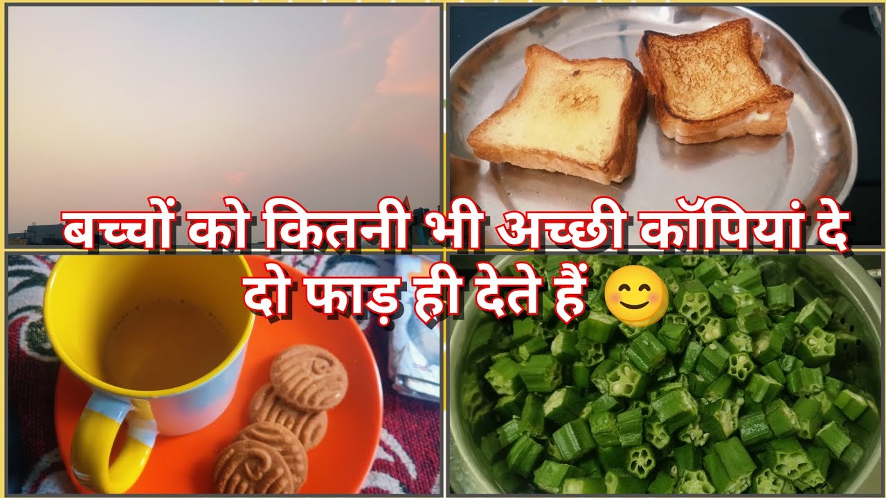 बच्चों को कितनी भी अच्छी कॉपियां दे दो फाड़ के देते हैं 😄😄😄