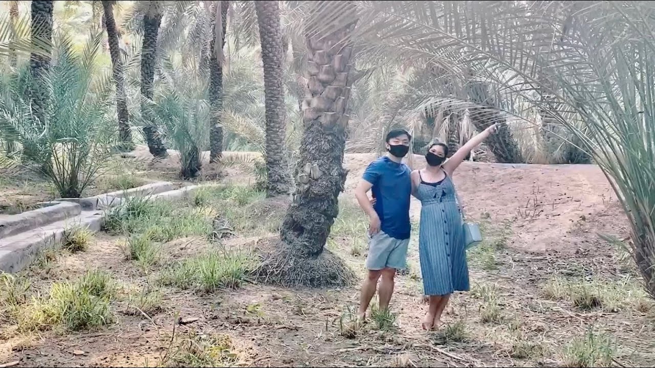 Visiting Al Ain Palace Museum and Al Ain Oasis