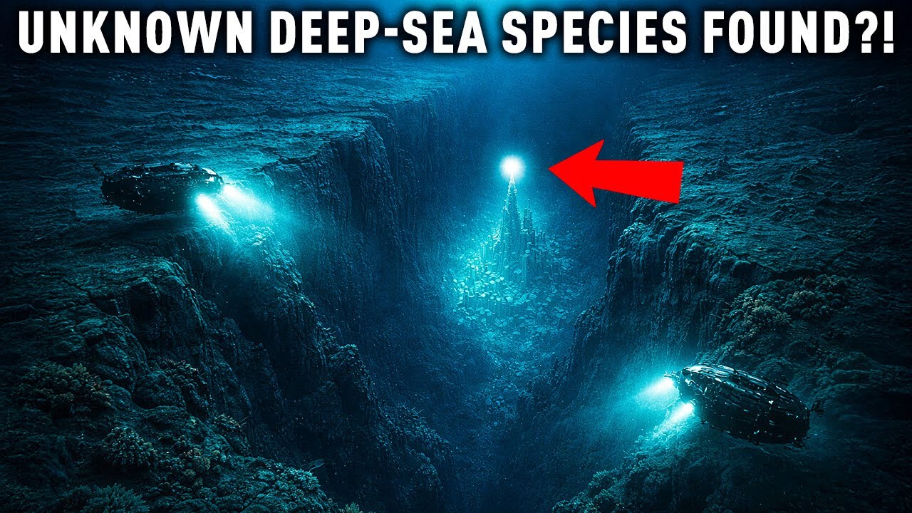 Divers Found Prehistoric Structures in the Mariana Trench — They’re Not Natural