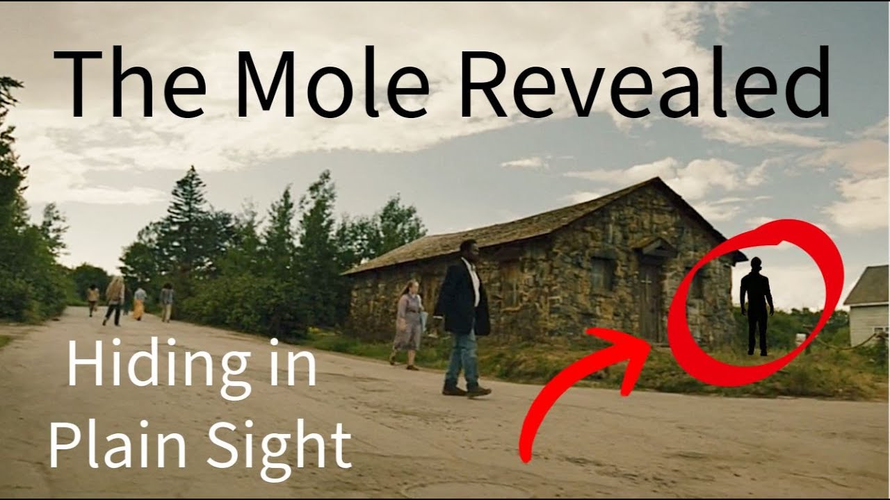 The Mole in Fromville Theory | From