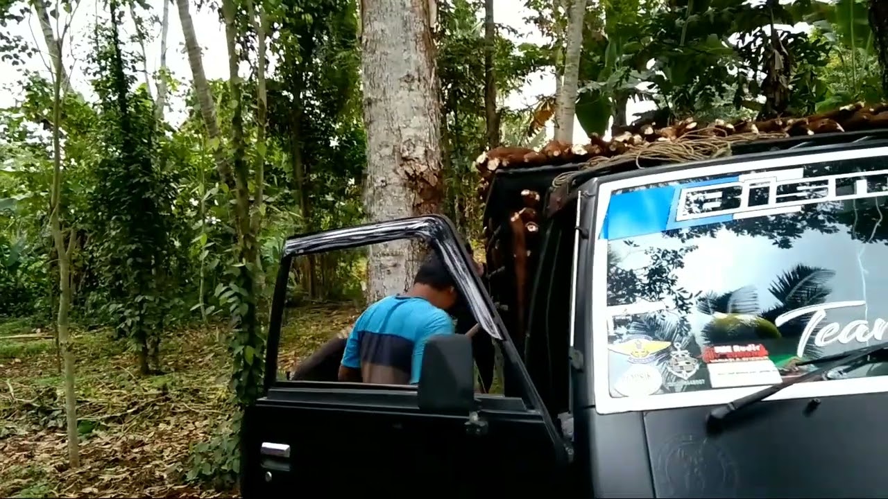 l300, muat singkong 3,3 ton tetap handal,bang negro