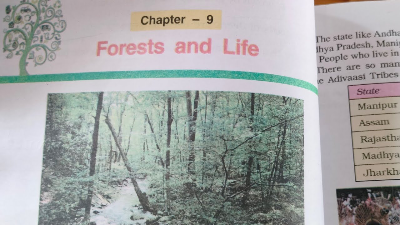 Forests and life #evs class5 #pseb ch 9