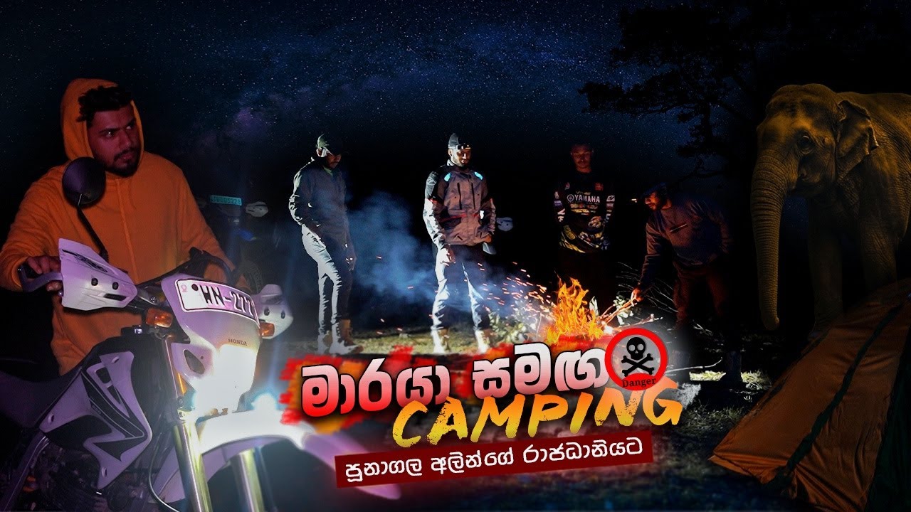මකල්දෙනියේ ගිනි මැද Camping 🔥😵‍💫🐘 Ft. @mansaranna  | Poonagala Makaldeniya Koslanda | Vlog #52