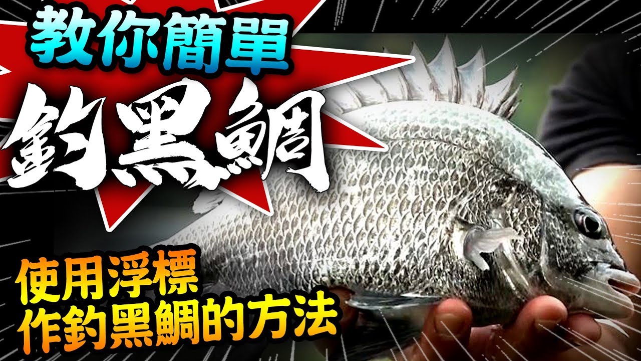 【★使用浮標時作釣黑鯛方法★高橋哲也&阿克教你簡單釣黑鯛黑牛、牛屎】