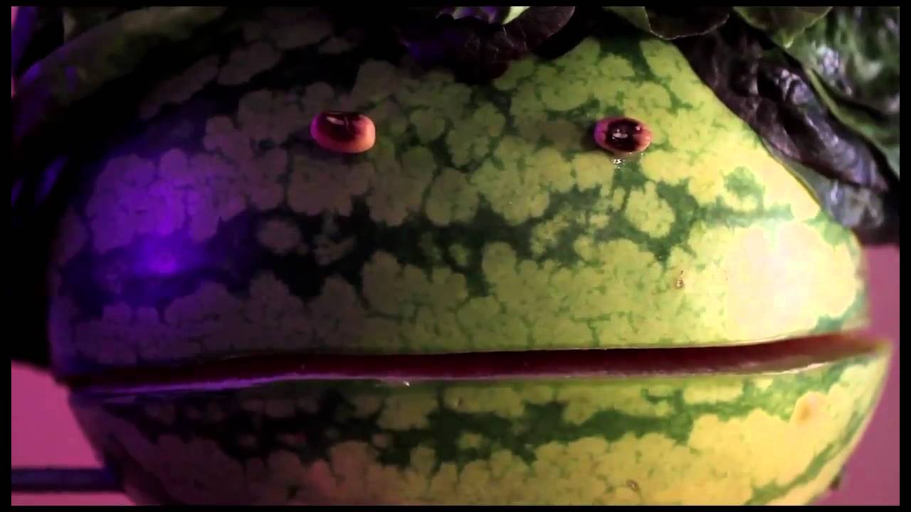 Mumdance - Don't Forget Me Now feat. Esser [Offical Music Video]