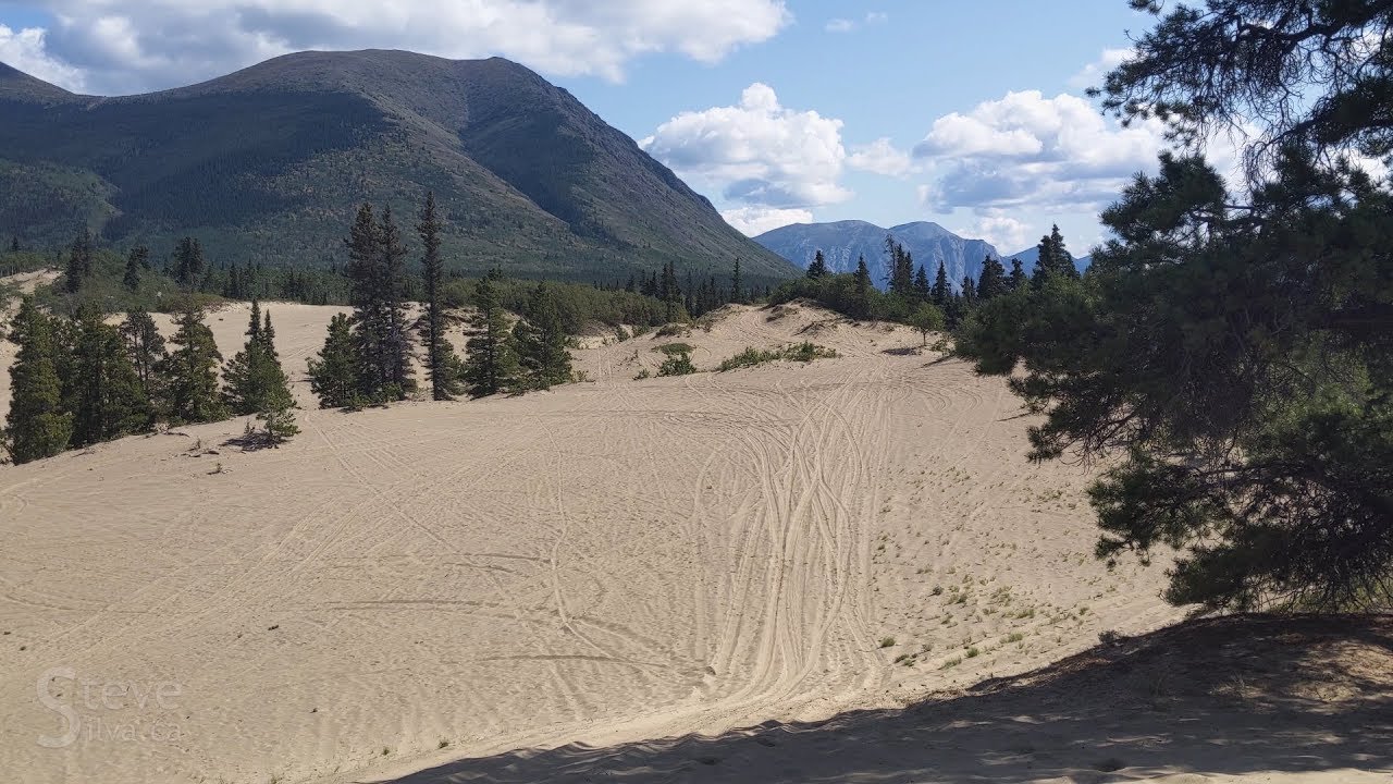 The Carcross Desert
