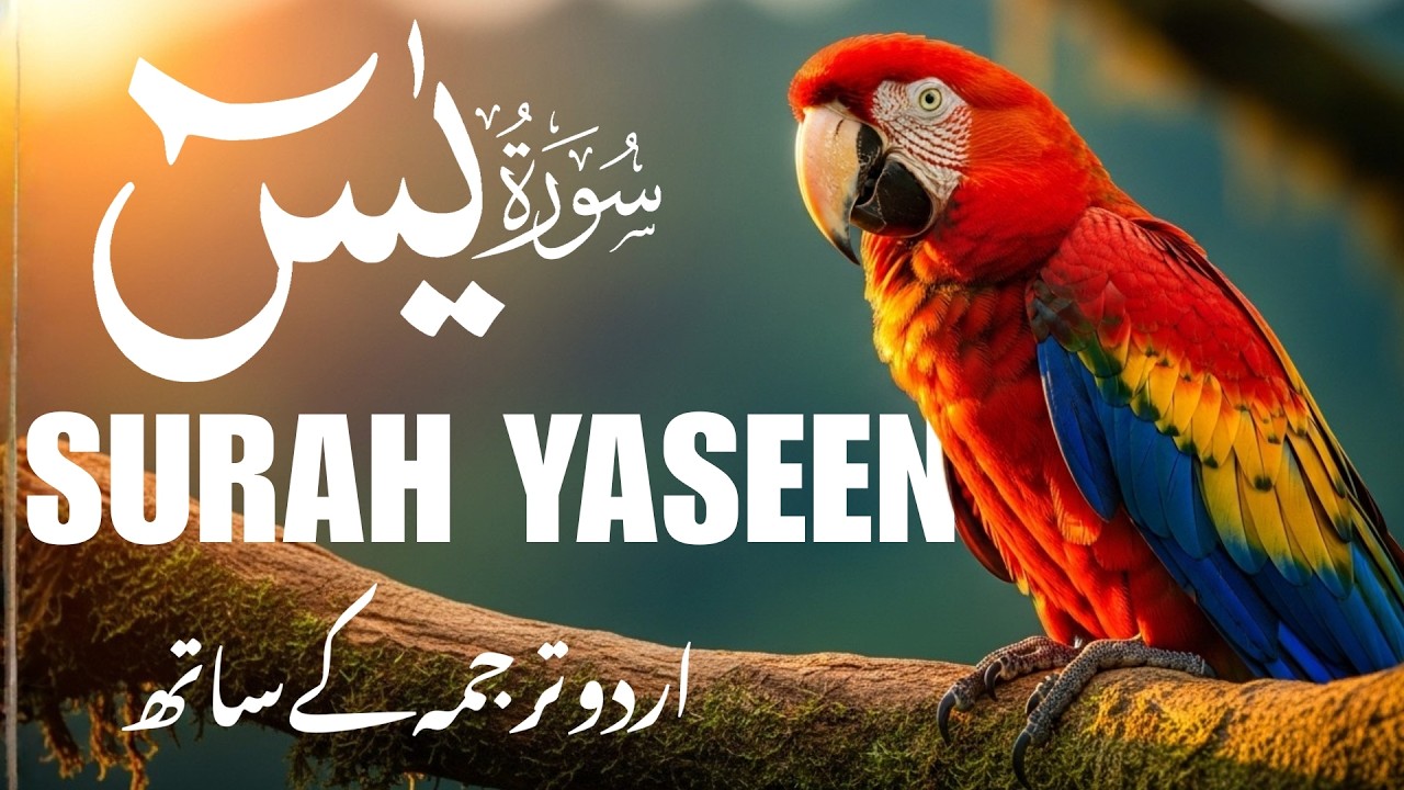 Listen Surah Yasin with Urdu Tarjuma | Beautiful Voice Quran Recitation