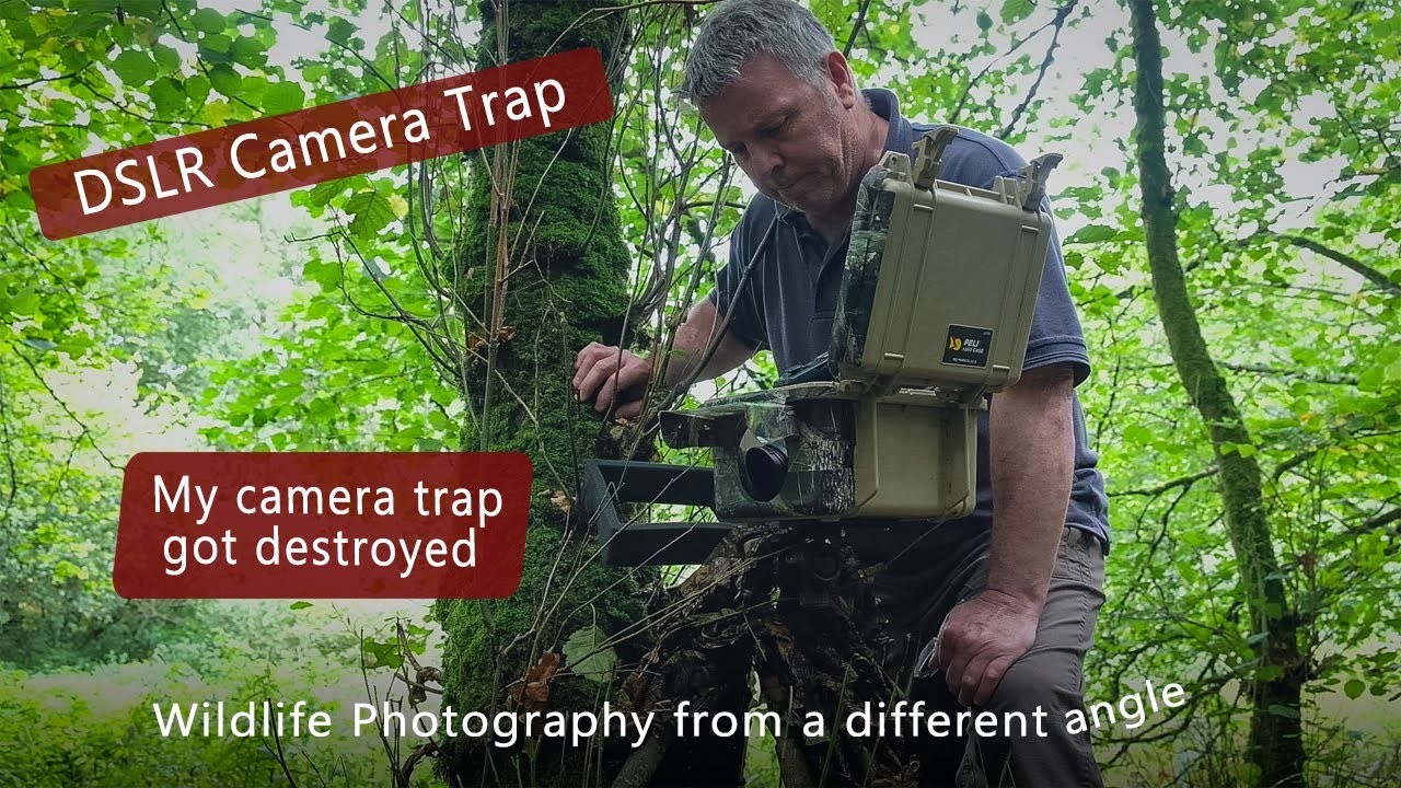 DSLR Camera trap - My Camera trap got destroyed