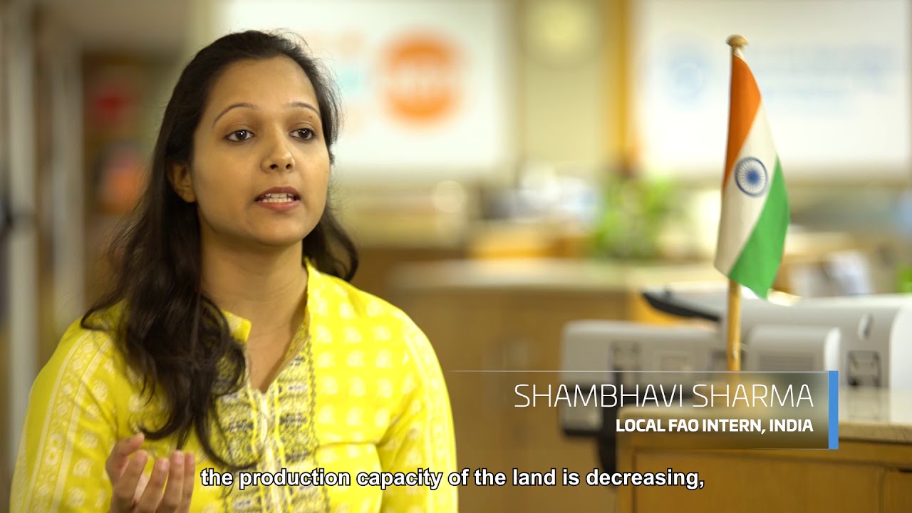 FAO Global Internship, Volunteers and Fellows Programme and SO4 Enable inclusive agricultural