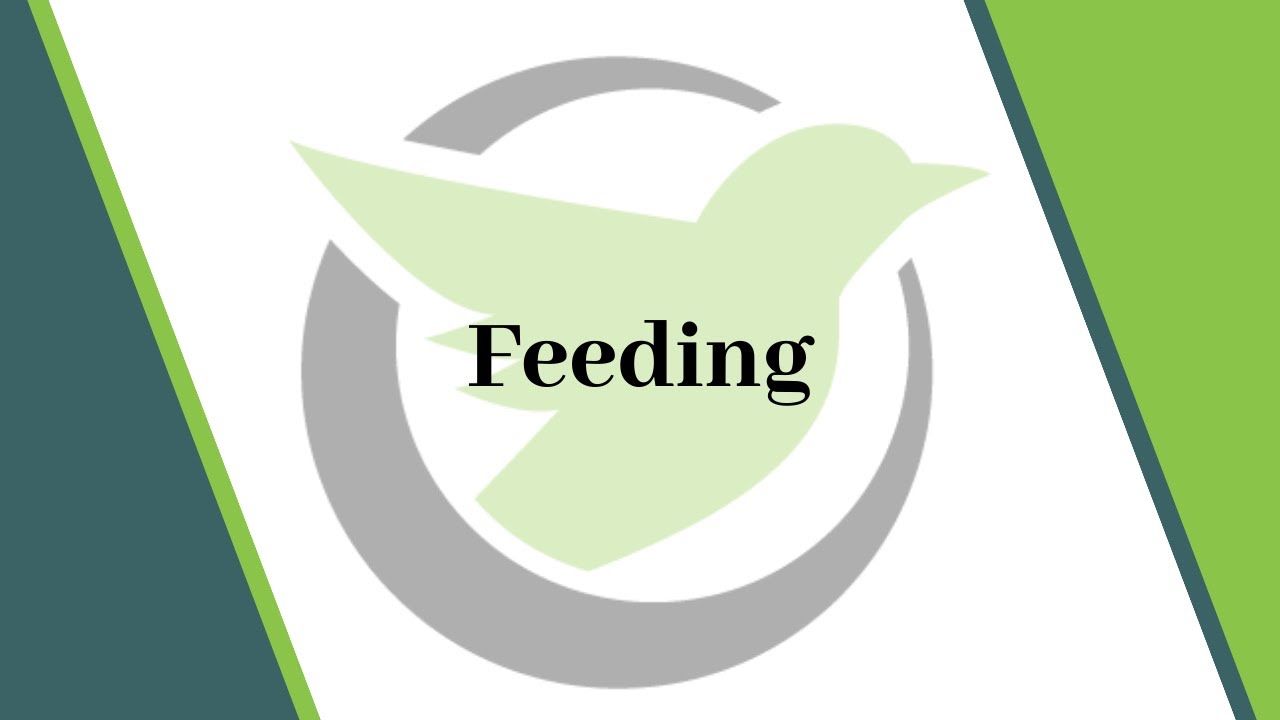 Washington Nurse Aide Skill #10 Feeds Client Who Cannot Feed Self