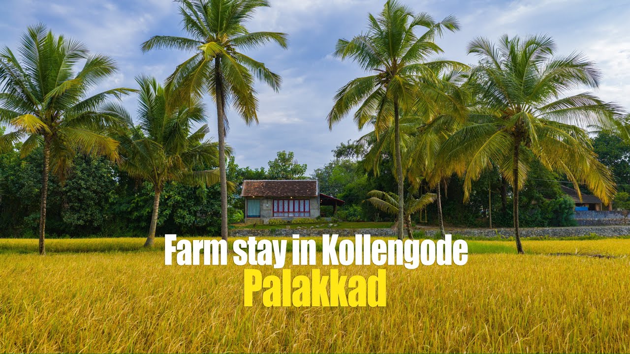 Looking for a peaceful getaway? This Palakkad farm stay is waiting for you!  Call to book 9409551234