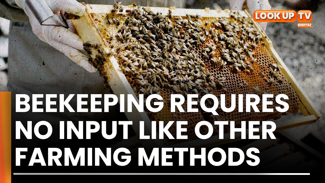 Kenya imports 80% of its honey