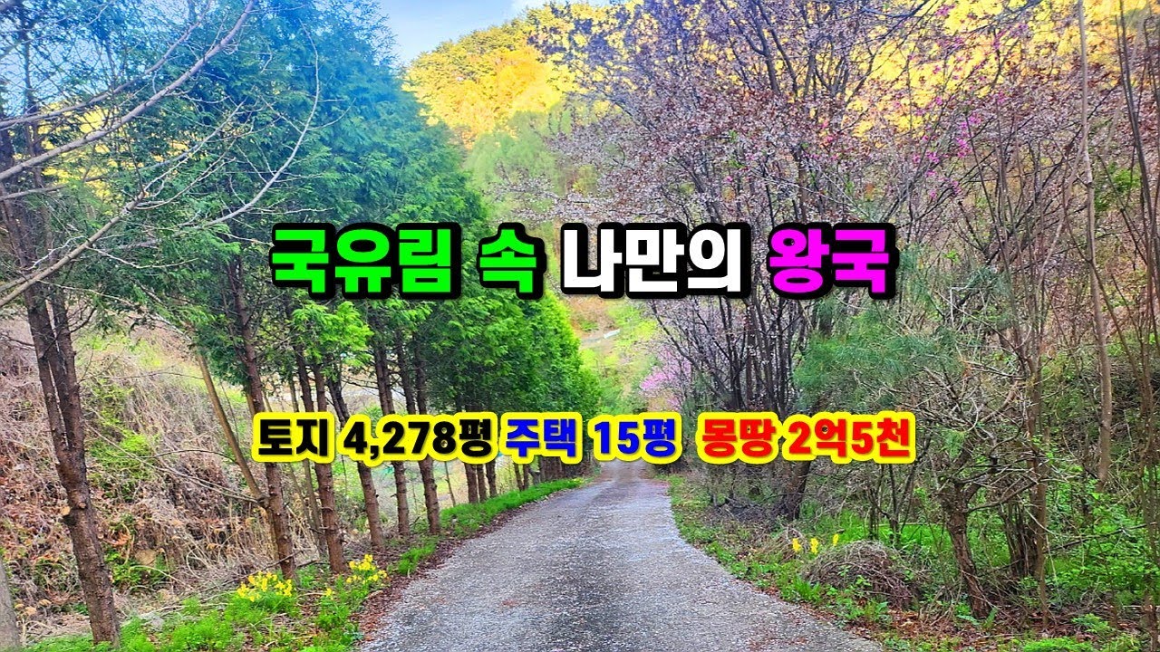 (매매보류) 봉화주택매매, 수목원 같은 국유림 속 나만의왕국, 경북 봉화군 재산면 외부간섭 없는 산골오지 자연인주택매매, 귀농귀촌 과수원, 기도원, 야영장, 절터 (봉화-2549)