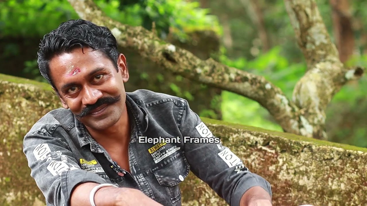 പാണ്ട്യൻ  എന്നെ തീർത്തെ നെ /ഓണക്കൂർ ശിവൻ /elephant frames