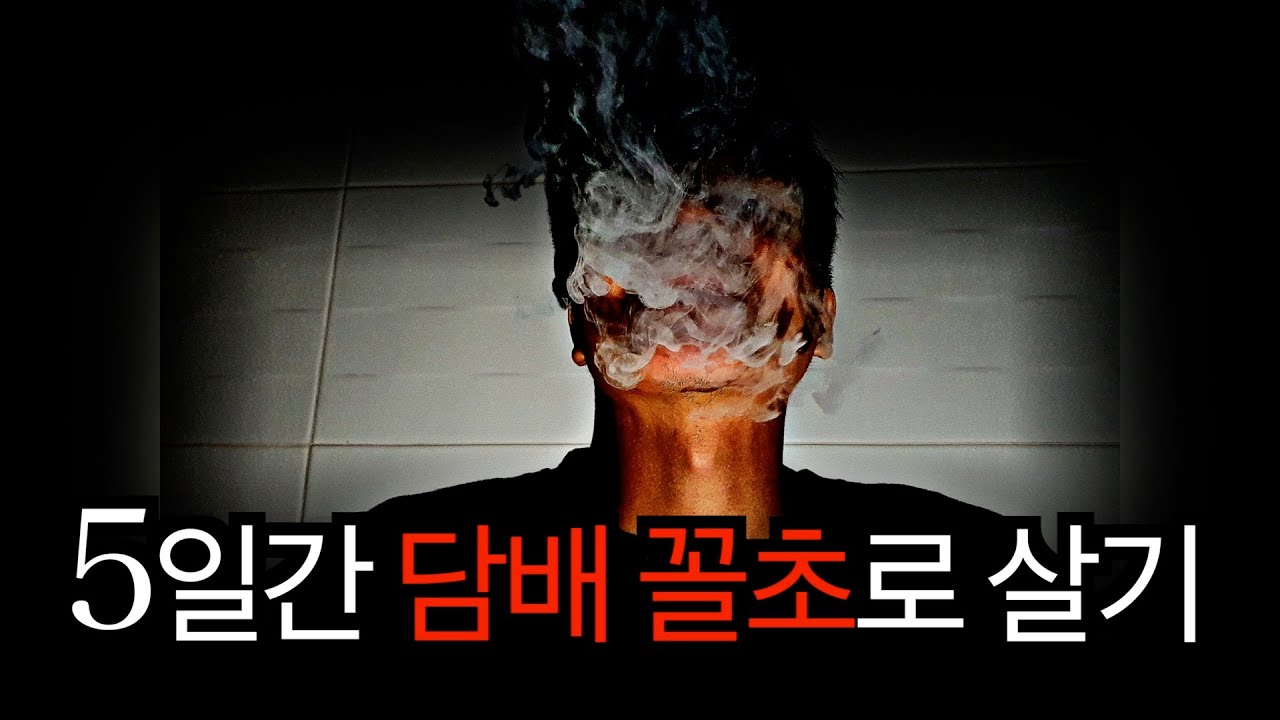 5일 동안 비흡연자가 담배 골초로 살면 어떻게 될까?