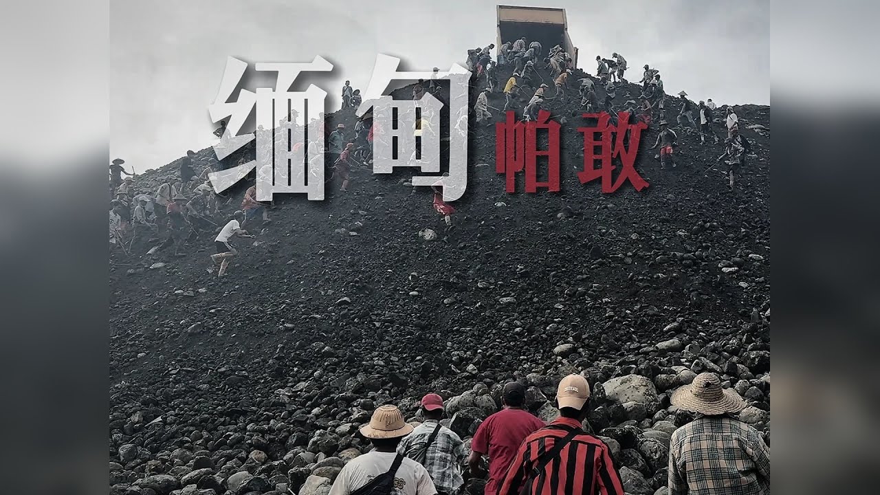 帕敢生存有多难？光保护费高达16万！内行人揭秘真实利润！