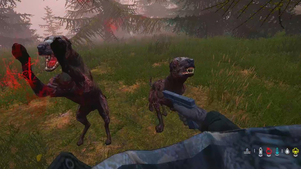 Moja Strastiplná Cesta na Sever na STALKER Servery v DayZ