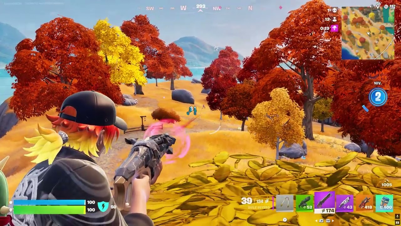 Fornite una partida ganada en modo solitario BLIZ