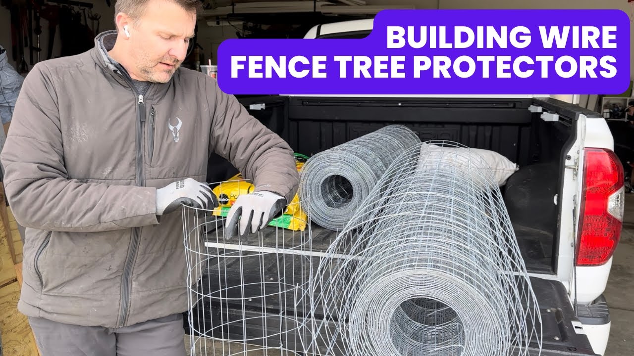Tree Protection - 2