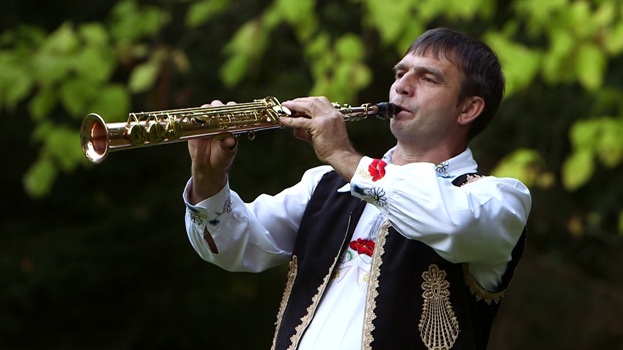 AUREL DANCIU   Ardeleana lui Luca Novac