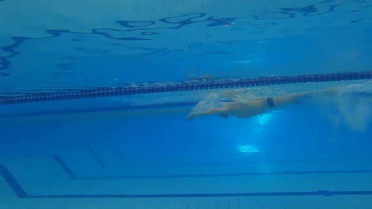 20260112 水中映像