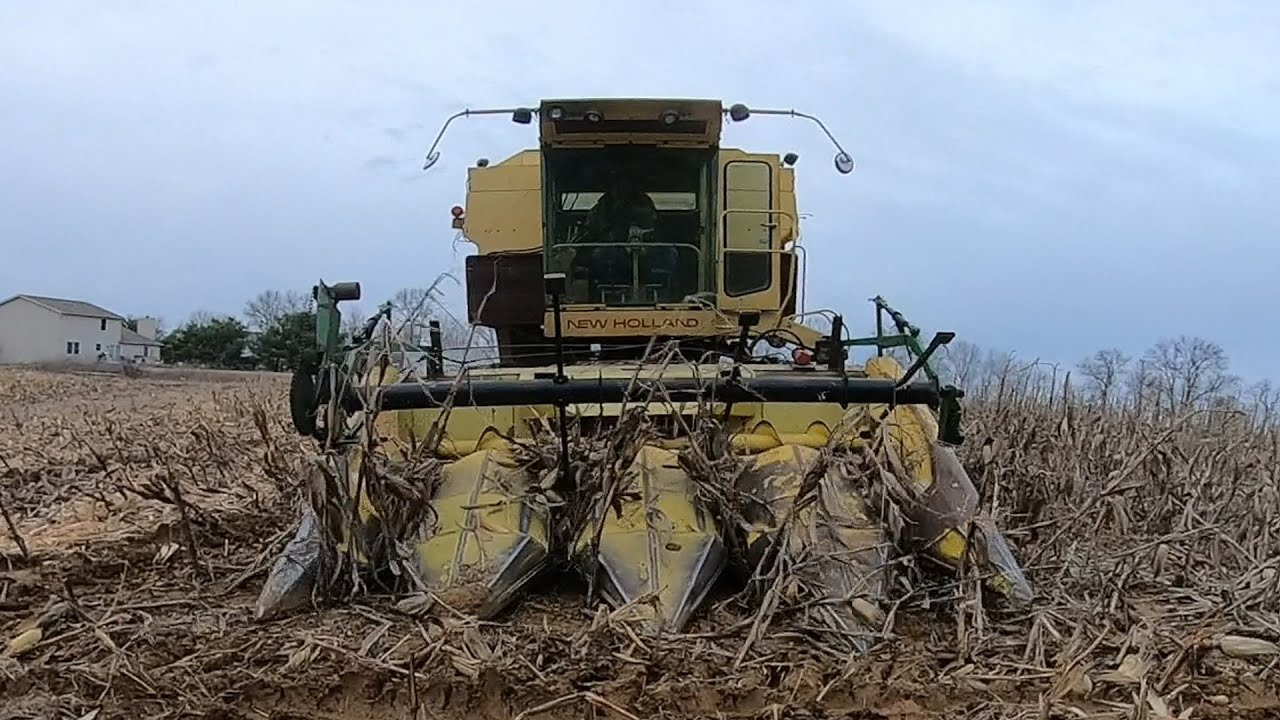 Последний урожай кукурузы для TR70 New Holland