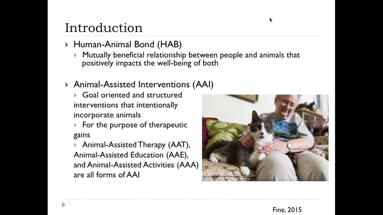 The Human Animal Bond