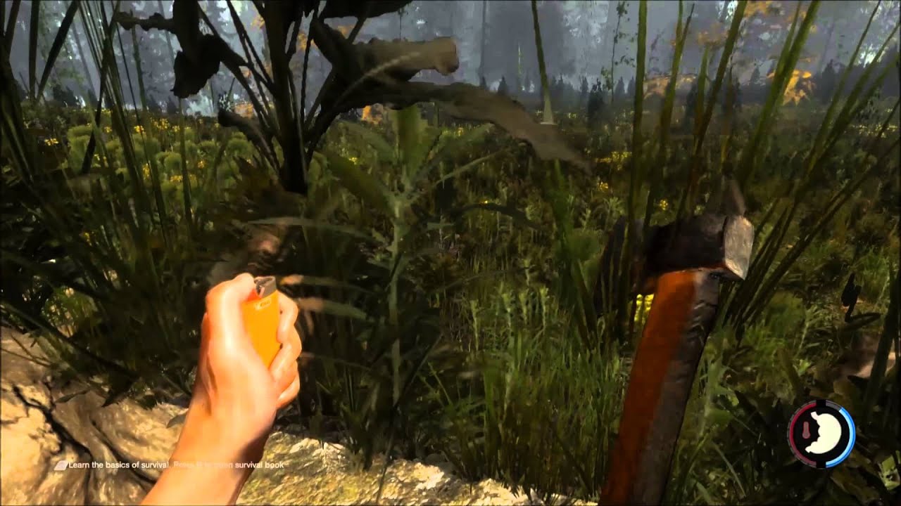 The Forest Alpha Gameplay - Part 2