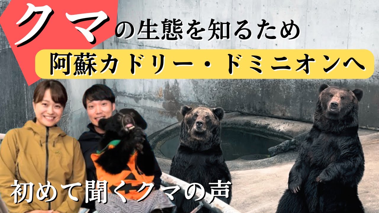 【阿蘇観光】初めて聞くクマの鳴き声🐻阿蘇カドリー・ドミニオン
