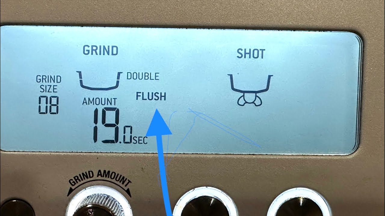 How to Clean | Flush, Grinder, and shower screen | Breville Barista Pro