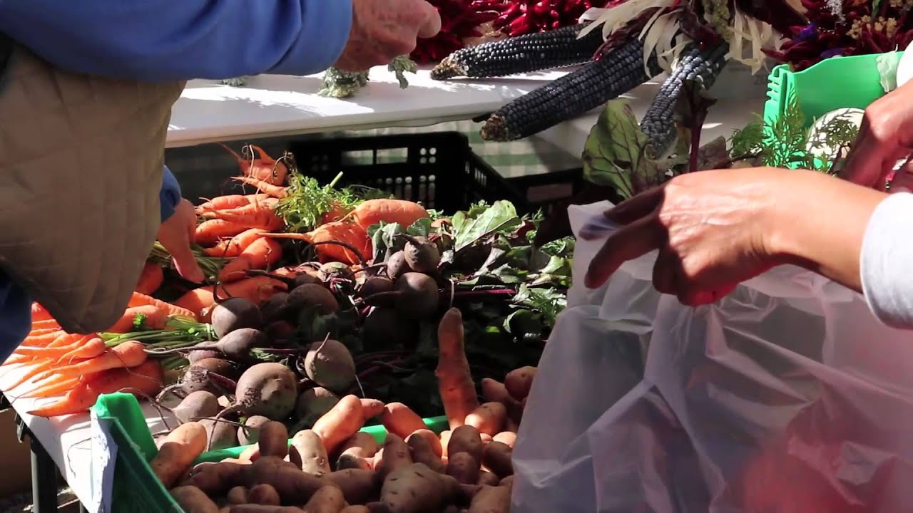 What is the Santa Fe Community Coop?