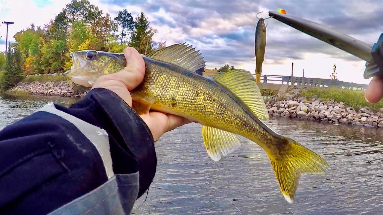 Fall Walleye Fishing! I caught the Walleye that STOLE MY JIG!