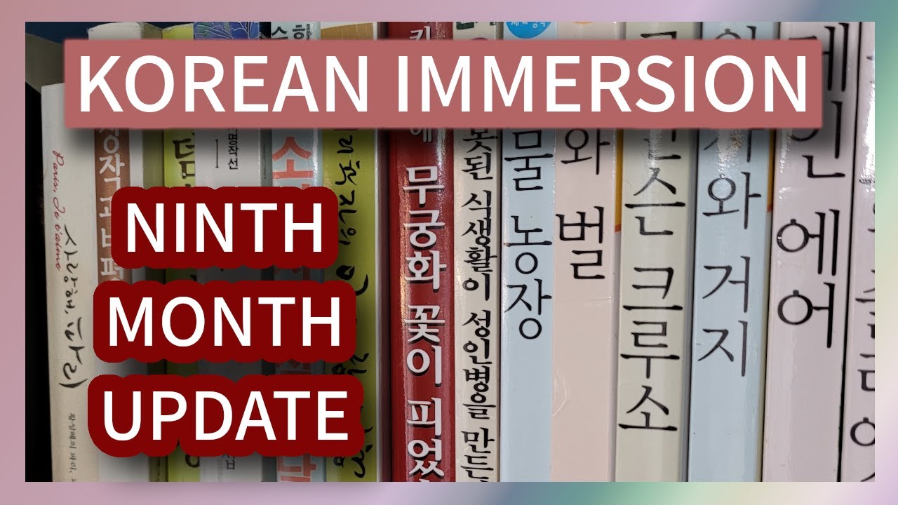 Korean Immersion Learning - 9 Month Update