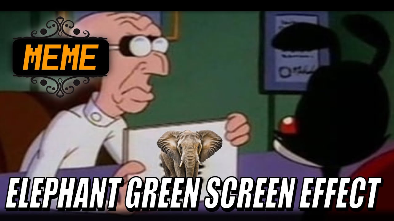 ELEPHANT GREEN SCREEN EFFECT  [Meme]