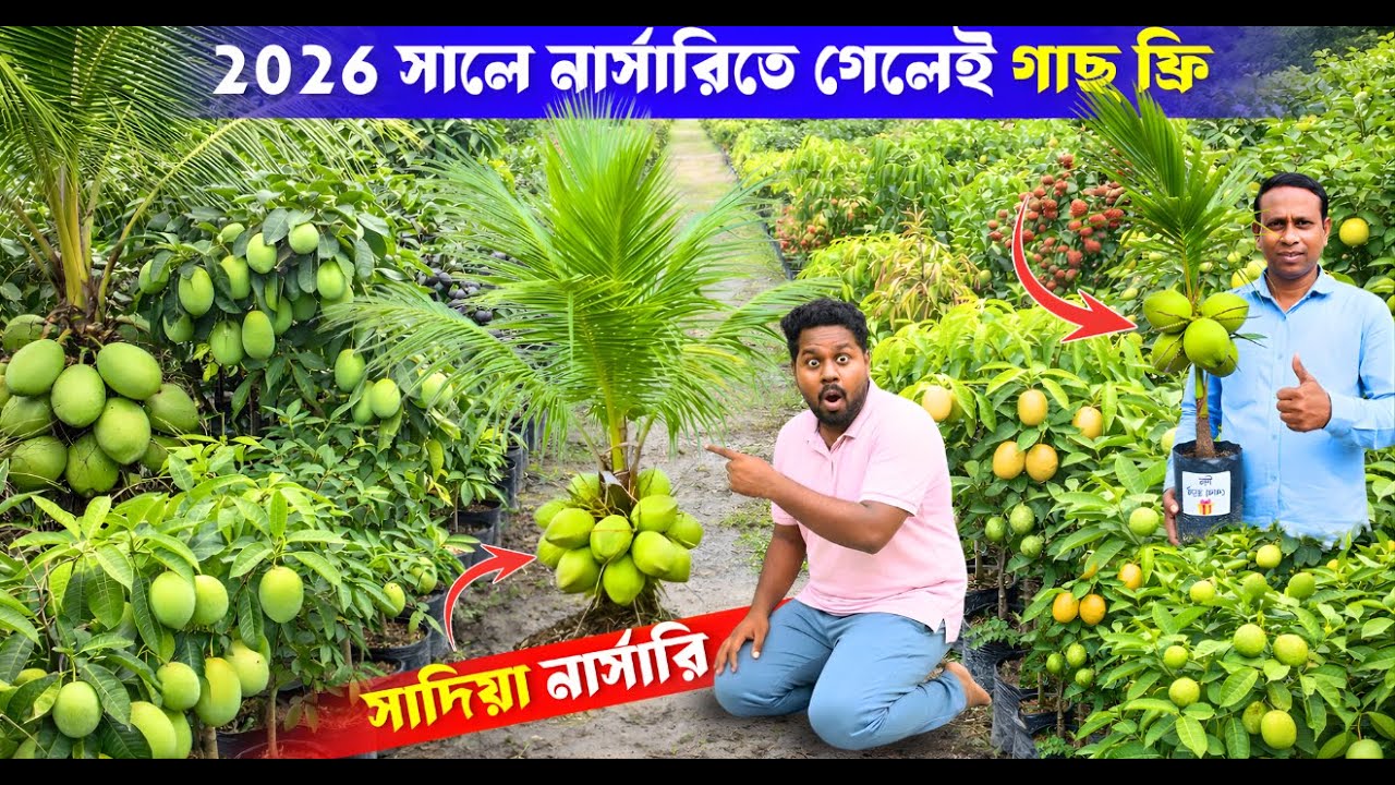 2026 সালে নার্সারিতে গেলেই গাছ ফ্রি | সাদিয়া নার্সারি | Best Fruit Nursery | ফলের বাগান