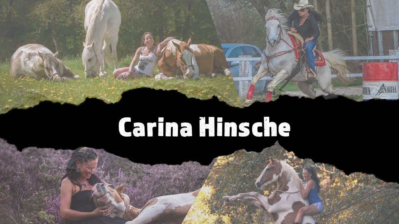 MUSTANG MAKEOVER 2019 - Team Carina (TAG 4532) - Update 7
