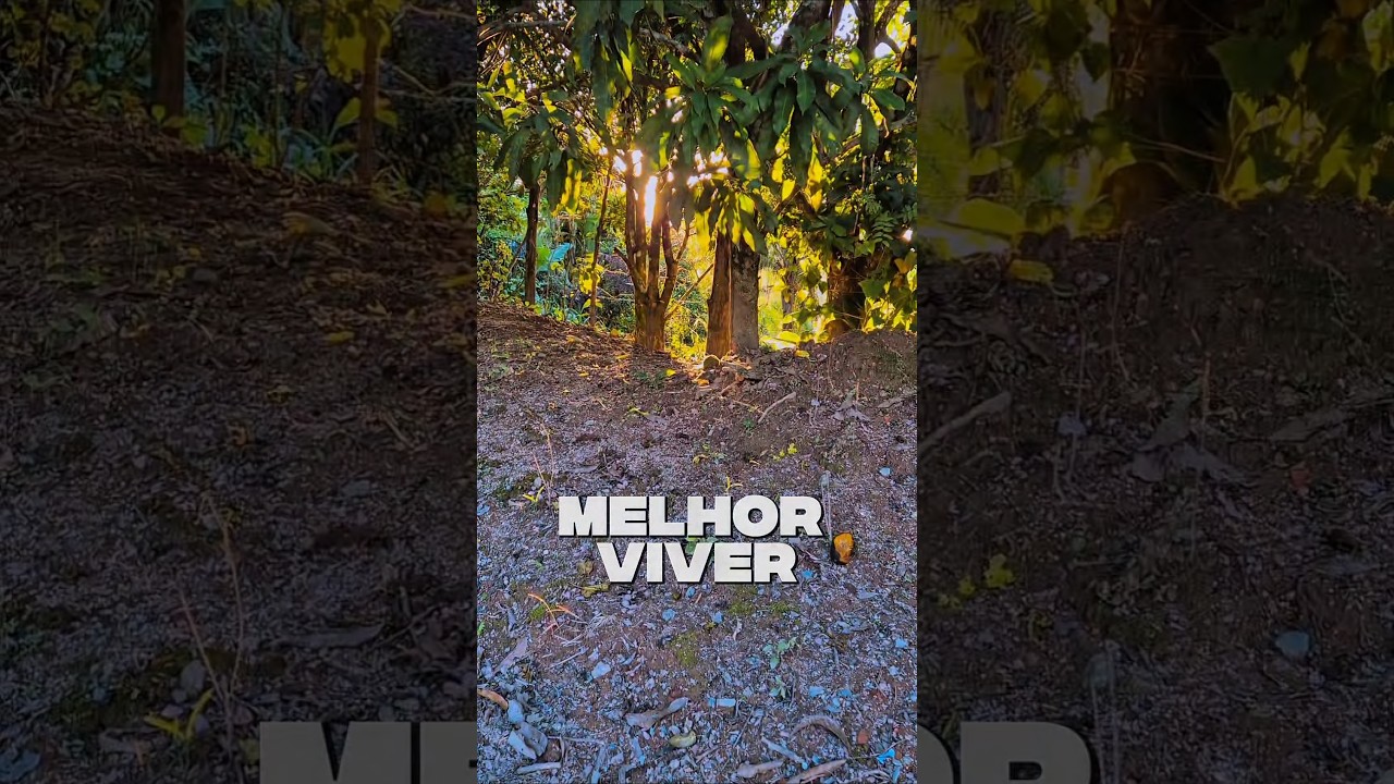 Melhor viver #viver #viva #motivacional