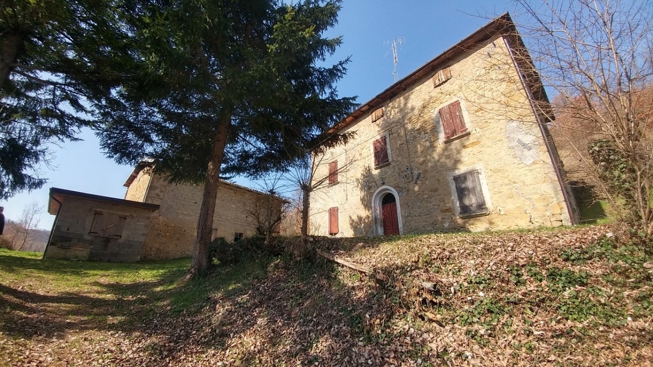 ZOCCA: RUSTICO in mezzo al BOSCO