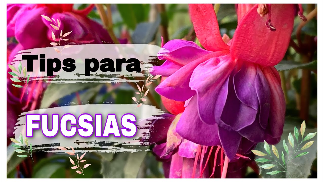Tips de Otoño 🍂 para PENDIENTES DE LA REINA 🌸🍃🌺/ ( Principiantes )