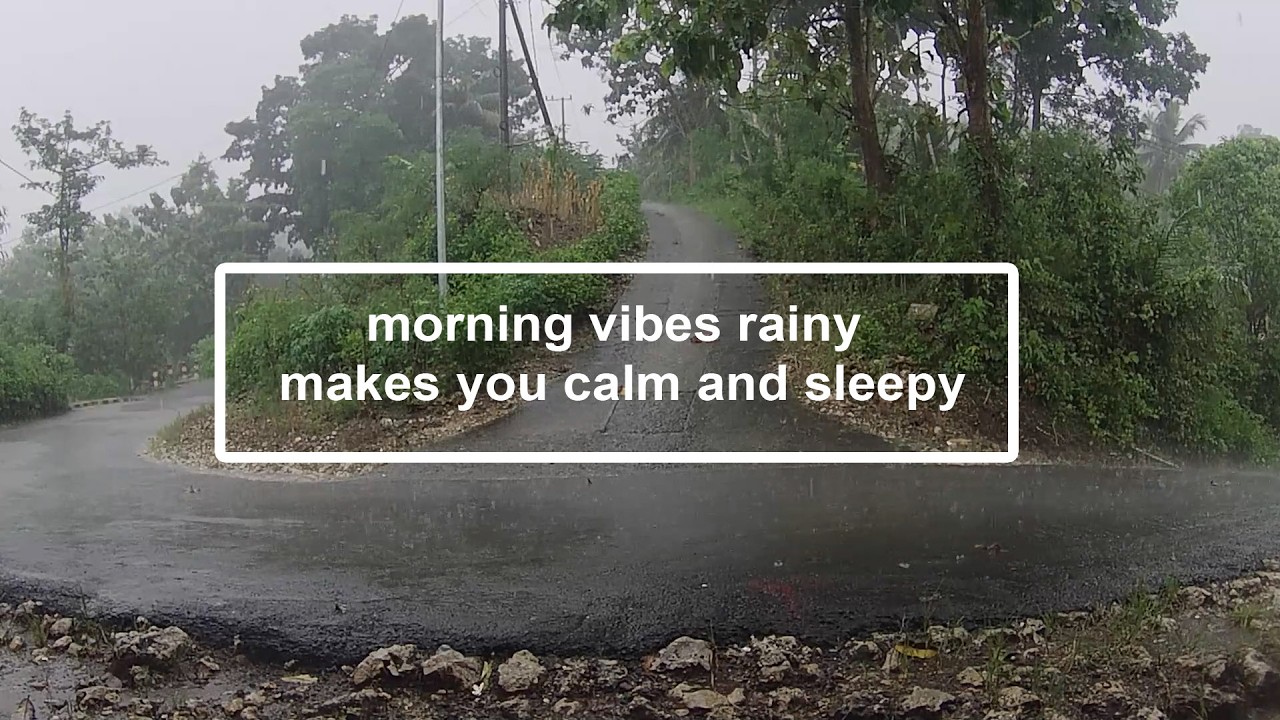rain early morning with bird chirping at mountain road makes you sleepy