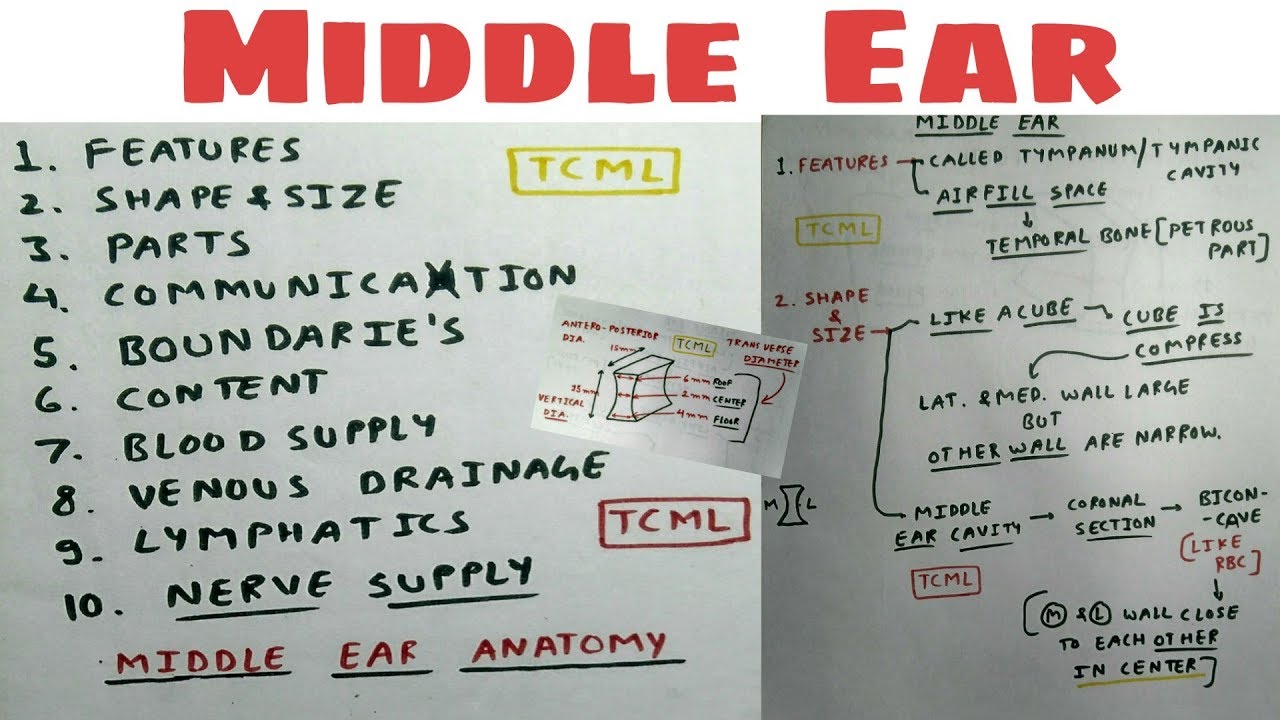 Middle Ear Anatomy - 1, Chart| TCML