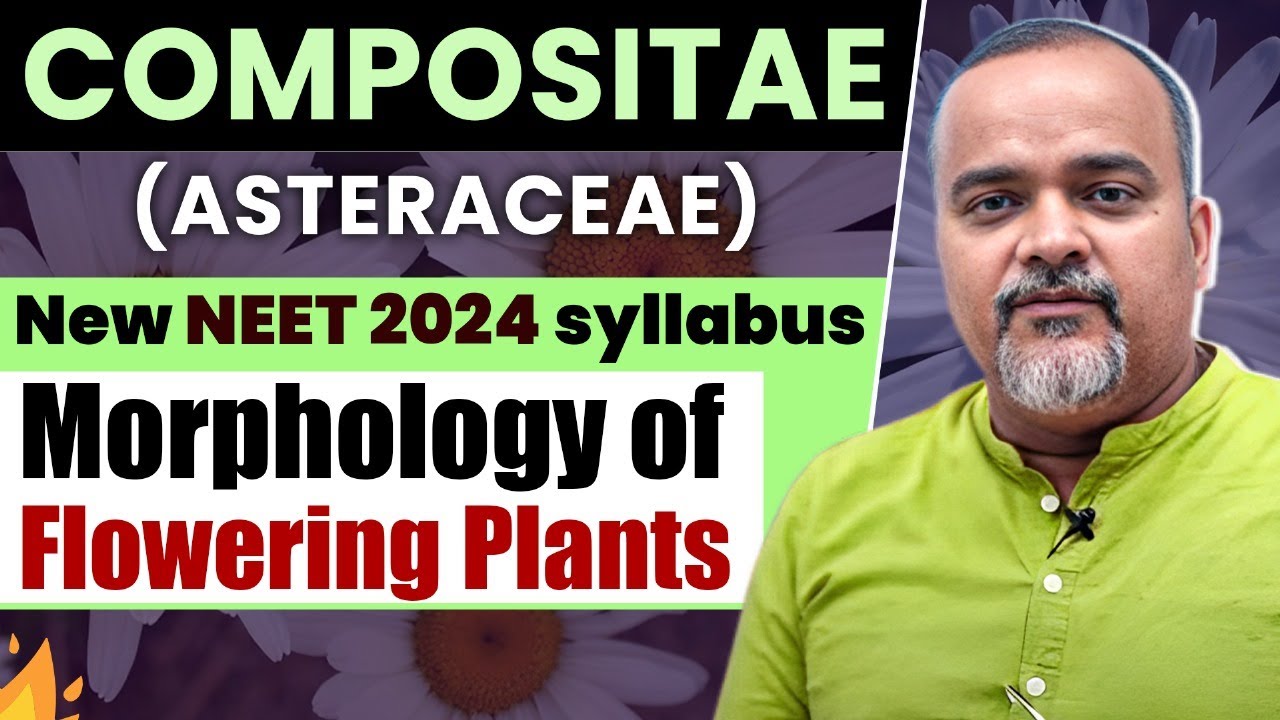 NEET 2024 UPDATED SYLLABUS | Plant Families | Compositae | NEET Biology #neet #neet2024 #neetprep