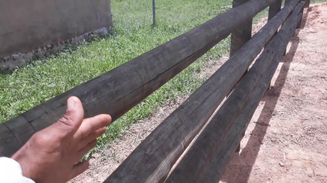 (2VÍDEO)COMO FAZER UM CURRAL DE VARÃO DE  ELCALIPTO(+TRONCO+EMBARCADOR)