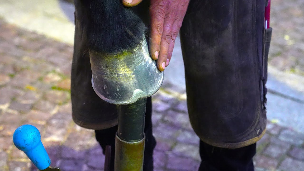 Ilbono, 24 novembre 2024: Il Maniscalco e la ferratura del cavallo.