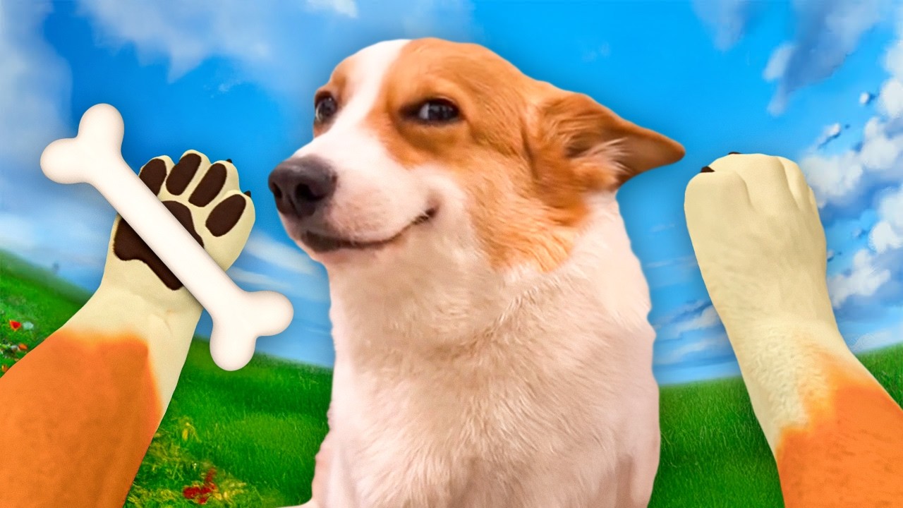 KÖPEK OLUP SAHİBİMİ ISIRDIM